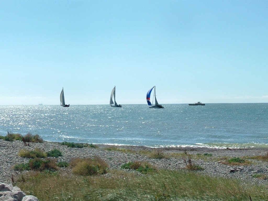 Click now to see this image full size.