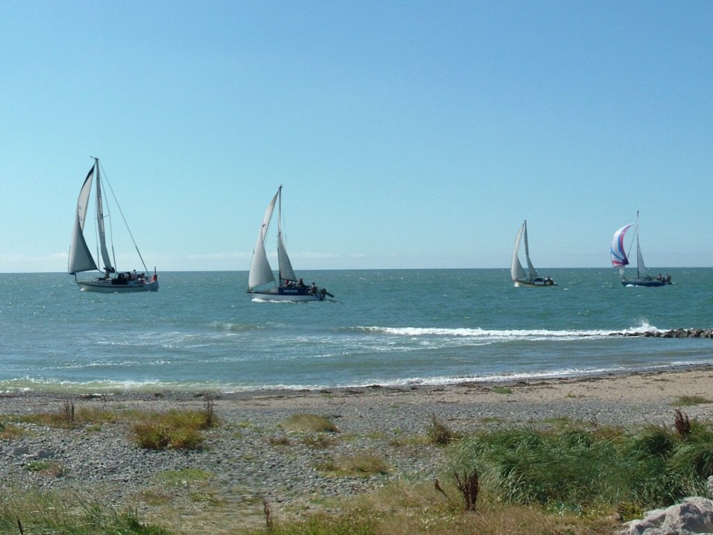 Click now to see this image full size.