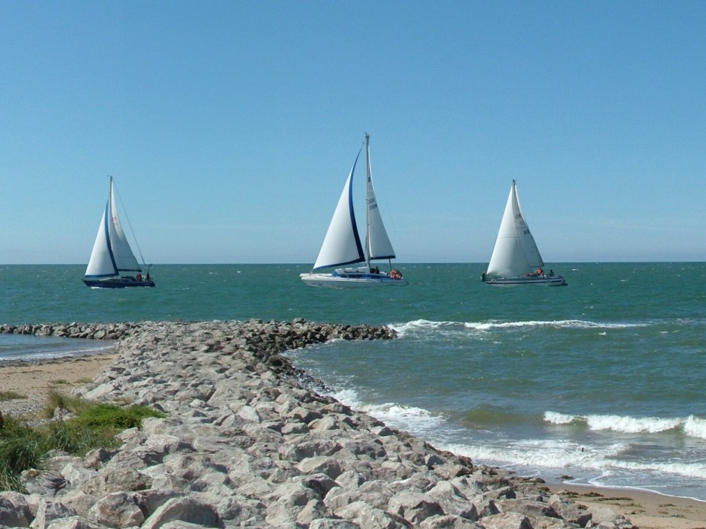 Click now to see this image full size.