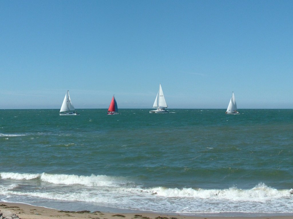 Click now to see this image full size.