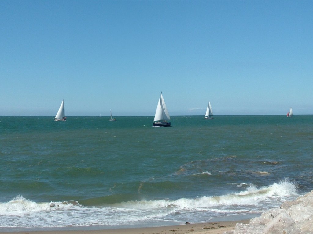 Click now to see this image full size.