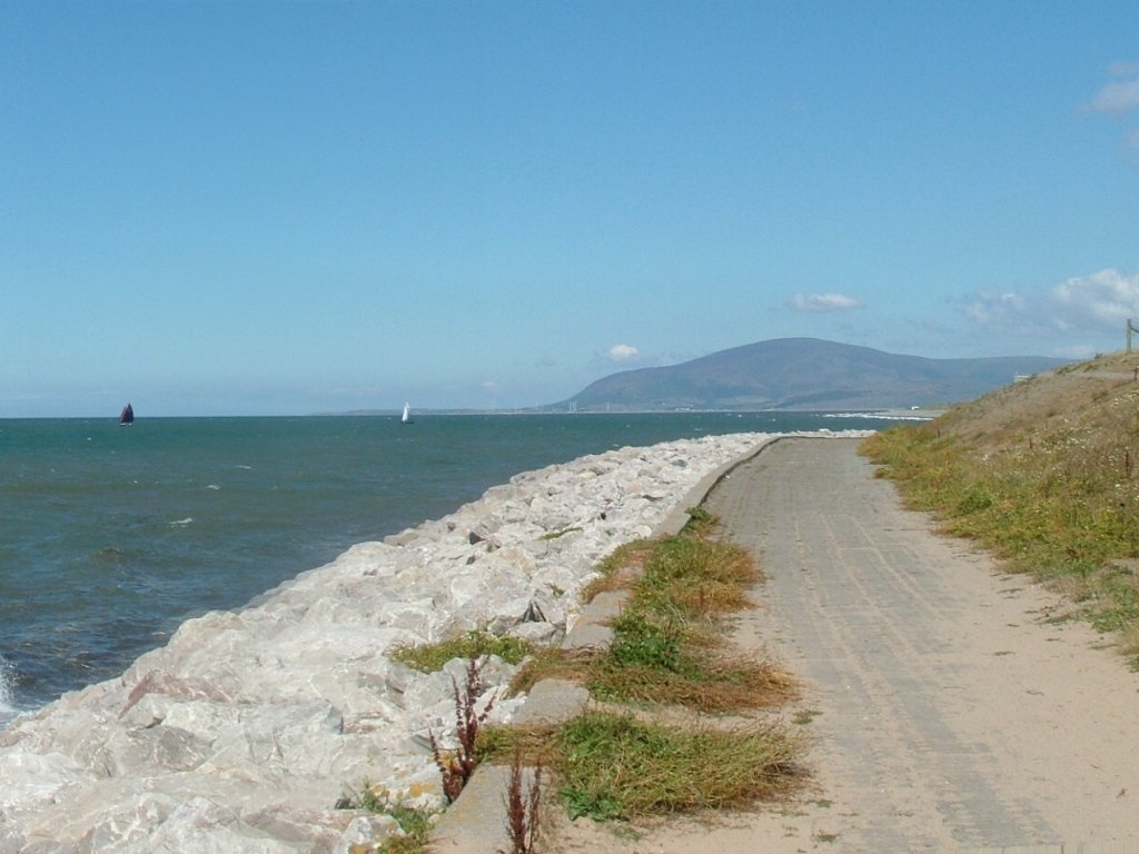 Click now to see this image full size.