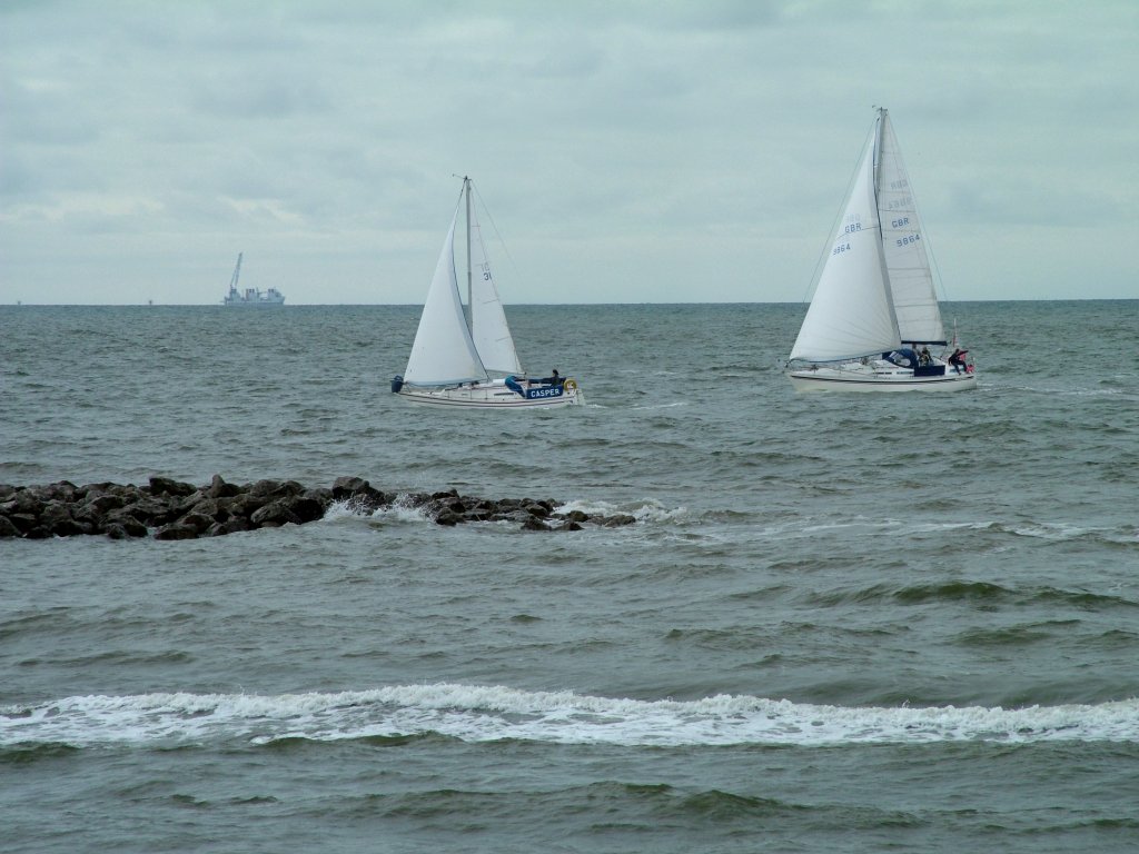 Click now to see this image full size.