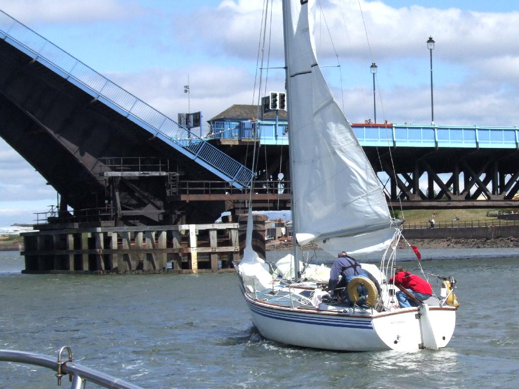 Click now to see this image full size.