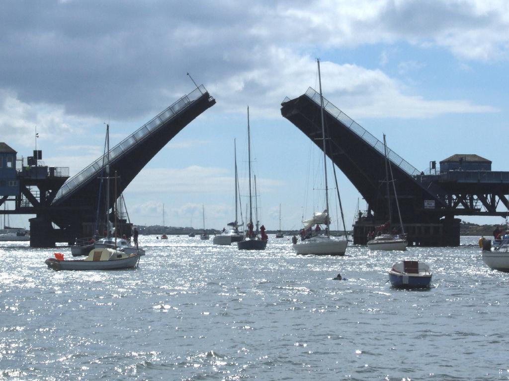 Click now to see this image full size.