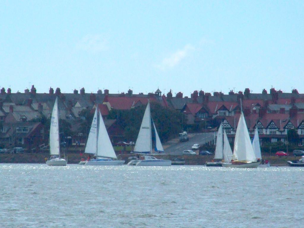 Click now to see this image full size.