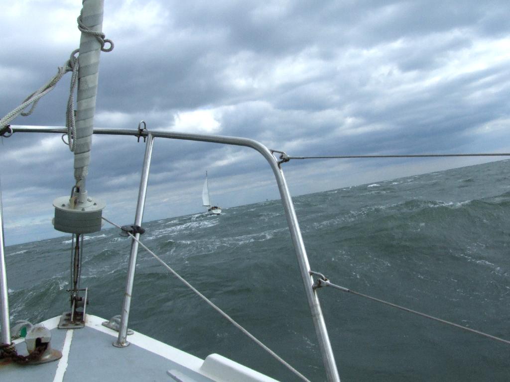 Click now to see this image full size.