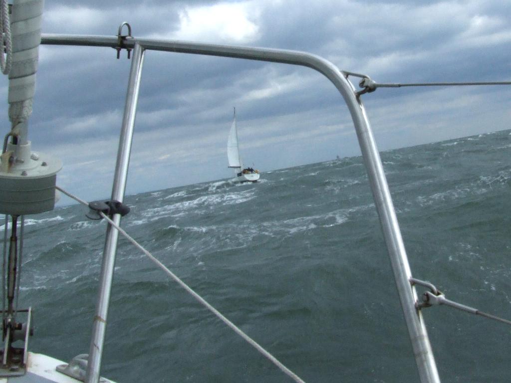 Click now to see this image full size.