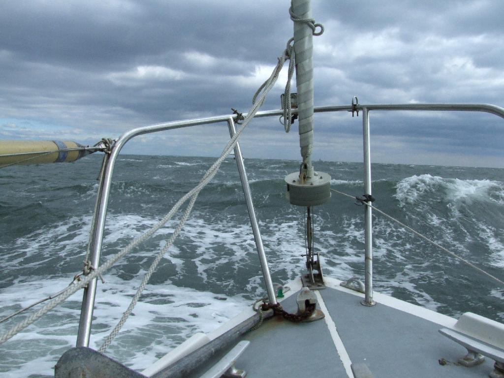 Click now to see this image full size.