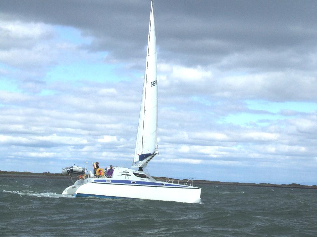 Click now to see this image full size.