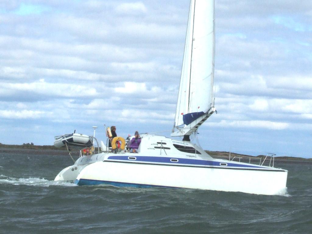 Click now to see this image full size.