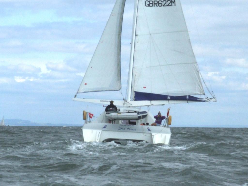 Click now to see this image full size.