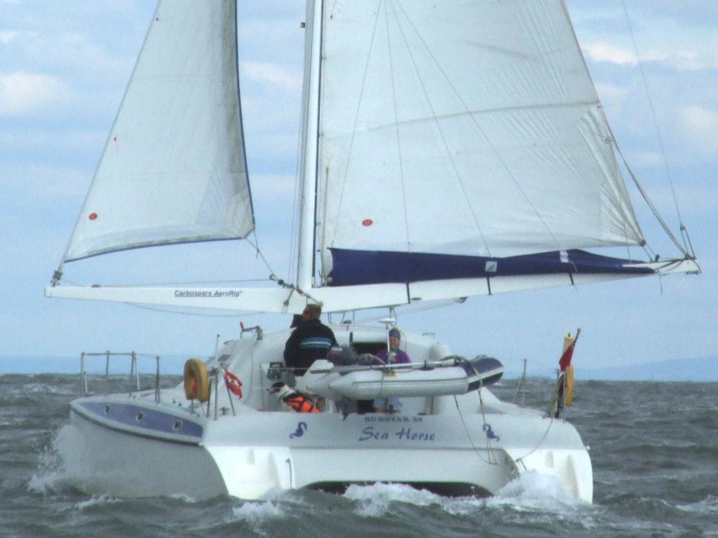 Click now to see this image full size.