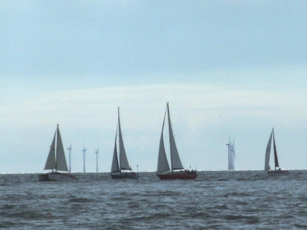 Click now to see this image full size.