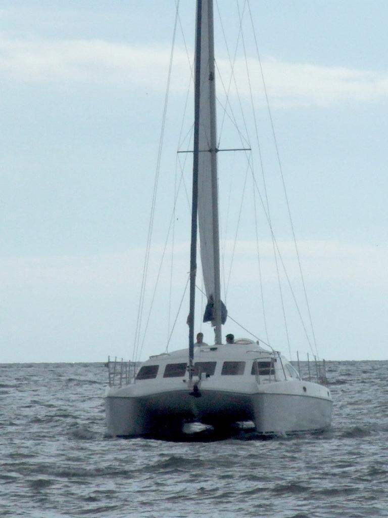 Click now to see this image full size.