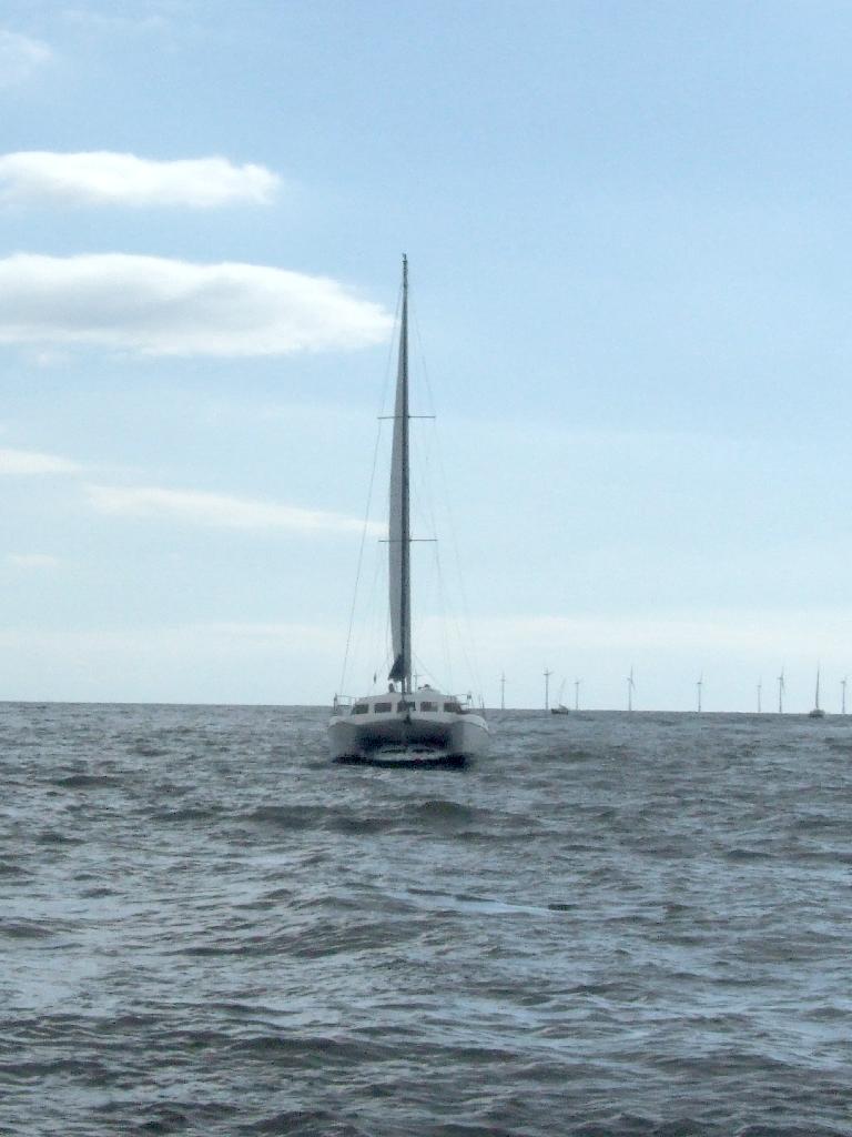 Click now to see this image full size.