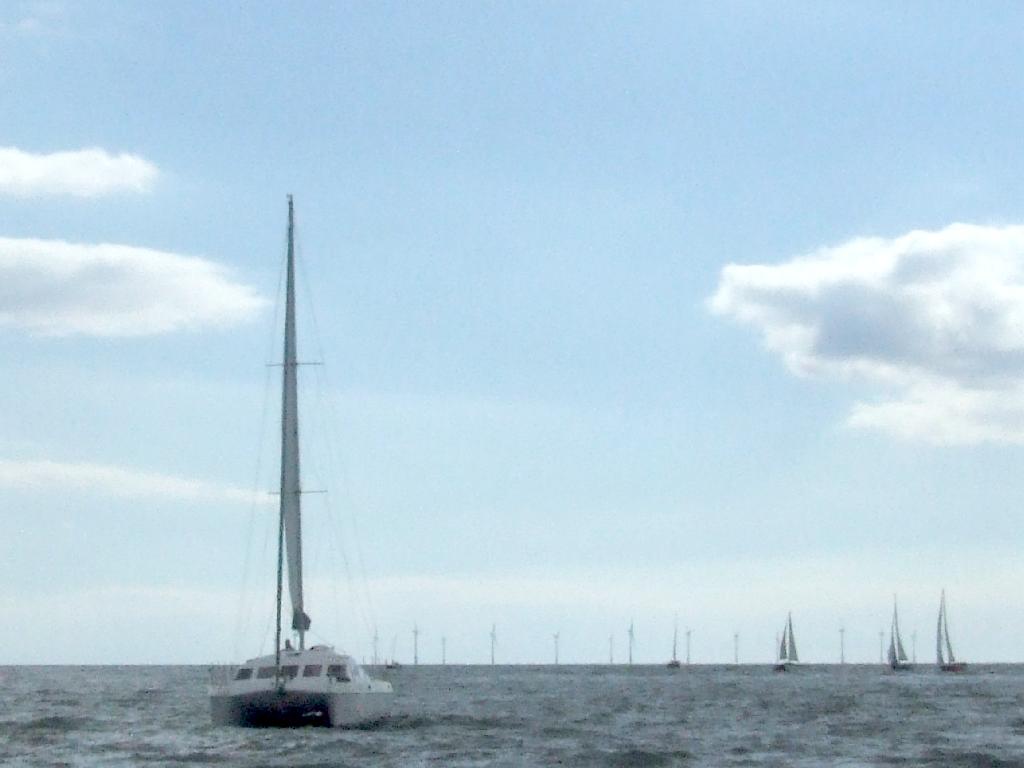 Click now to see this image full size.