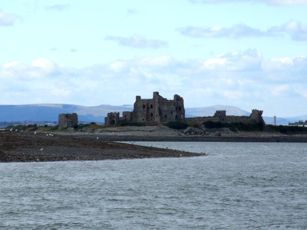 Click now to see this image full size.