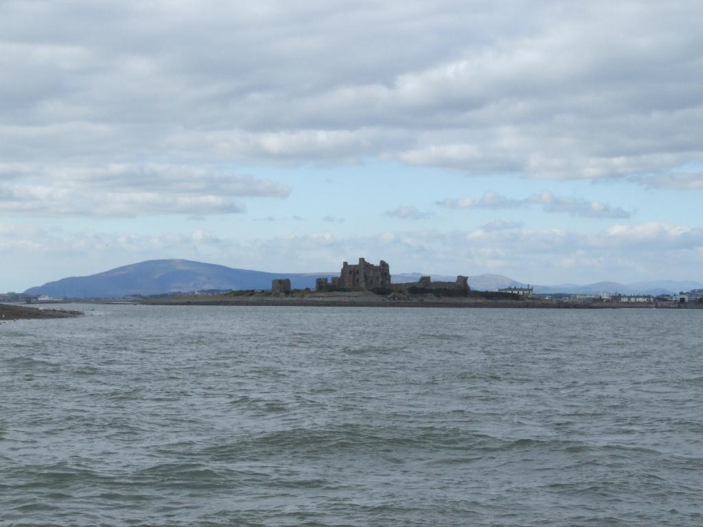 Click now to see this image full size.