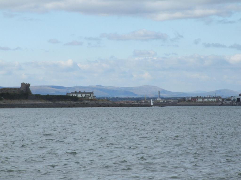 Click now to see this image full size.