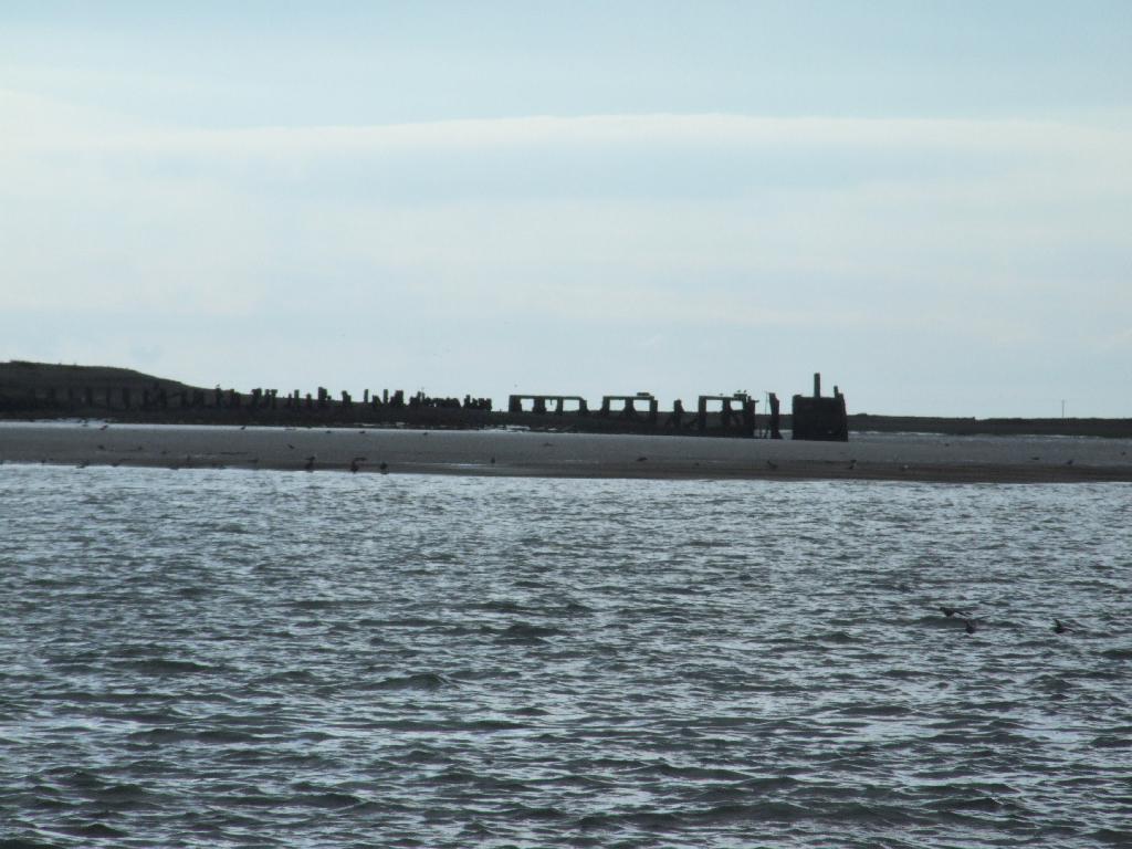 Click now to see this image full size.