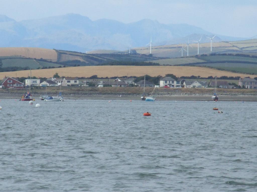 Click now to see this image full size.