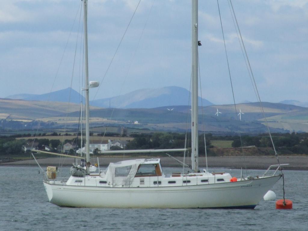 Click now to see this image full size.