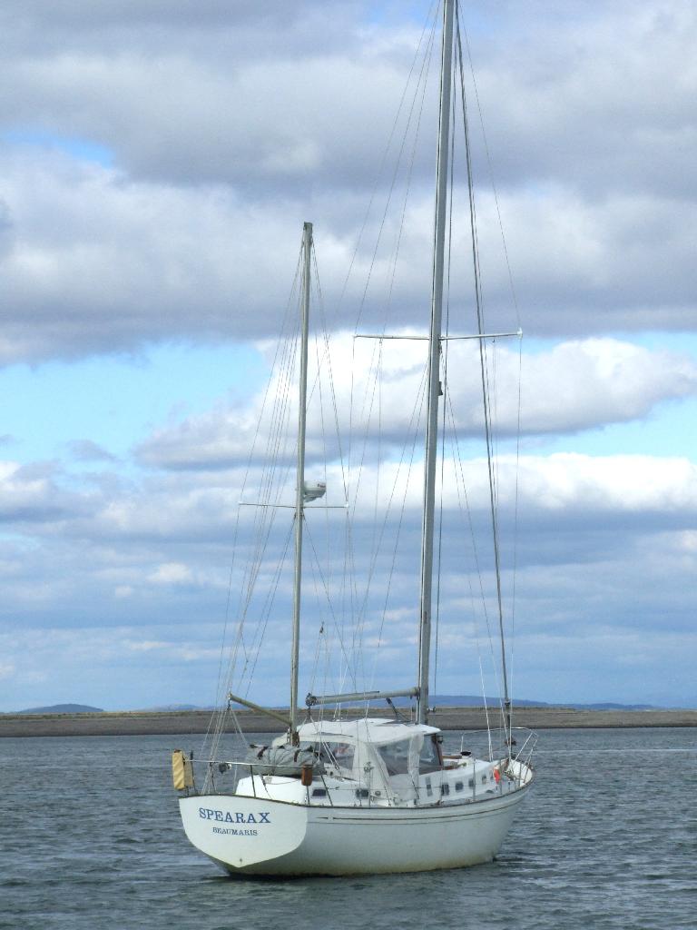 Click now to see this image full size.