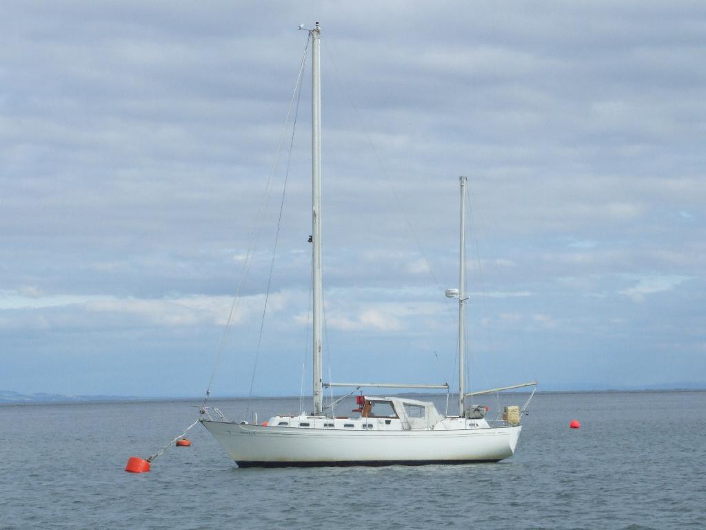 Click now to see this image full size.