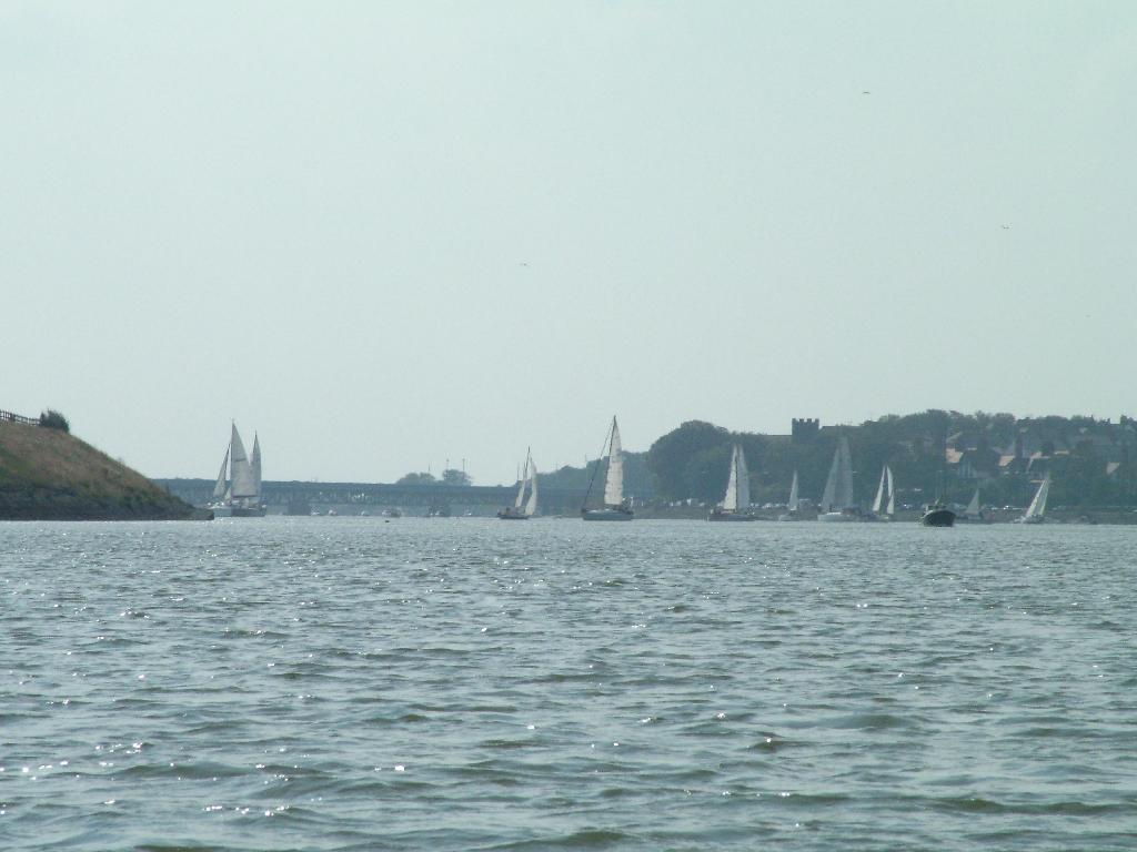 Click now to see this image full size.