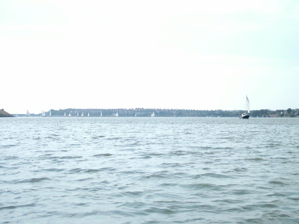 Click now to see this image full size.