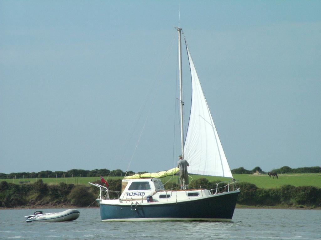 Click now to see this image full size.