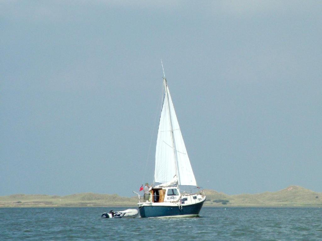 Click now to see this image full size.