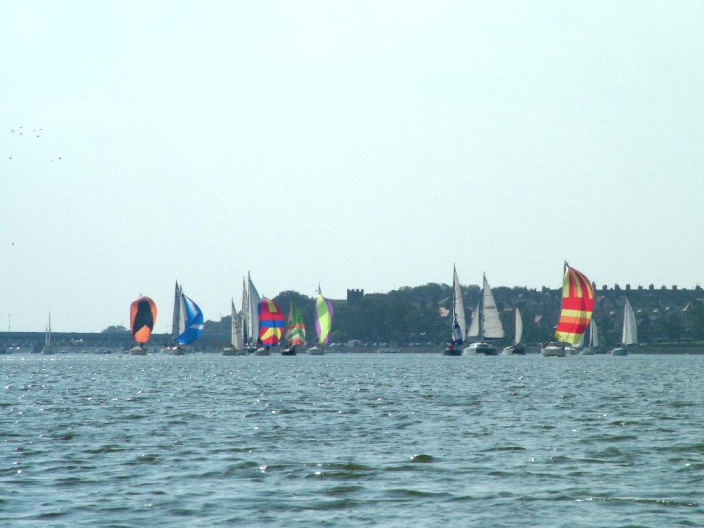 Click now to see this image full size.