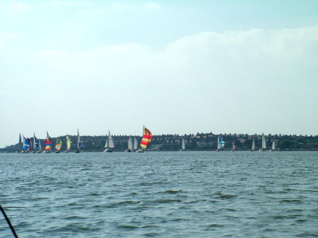 Click now to see this image full size.