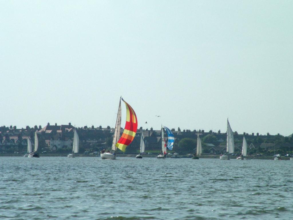 Click now to see this image full size.