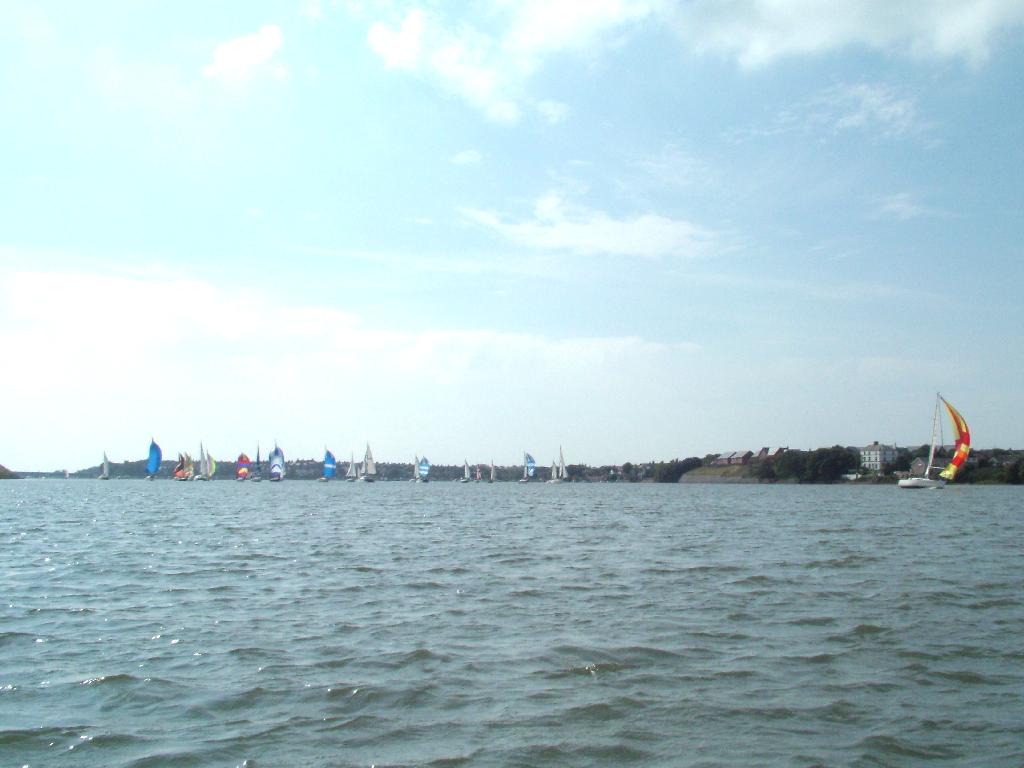 Click now to see this image full size.