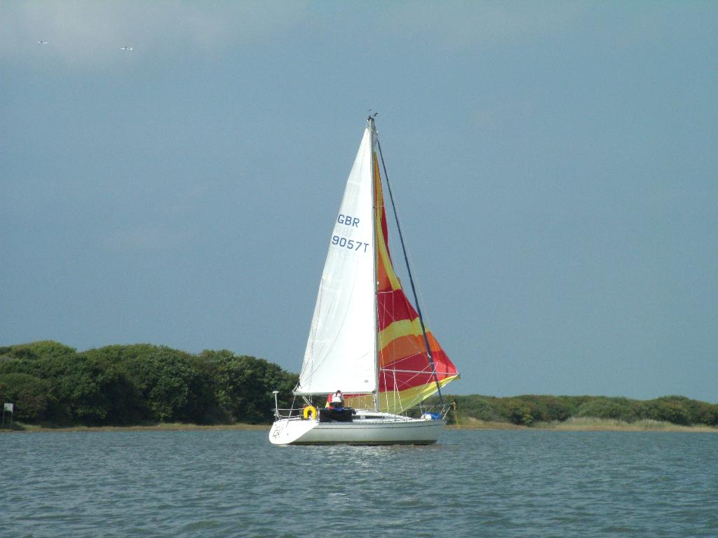 Click now to see this image full size.