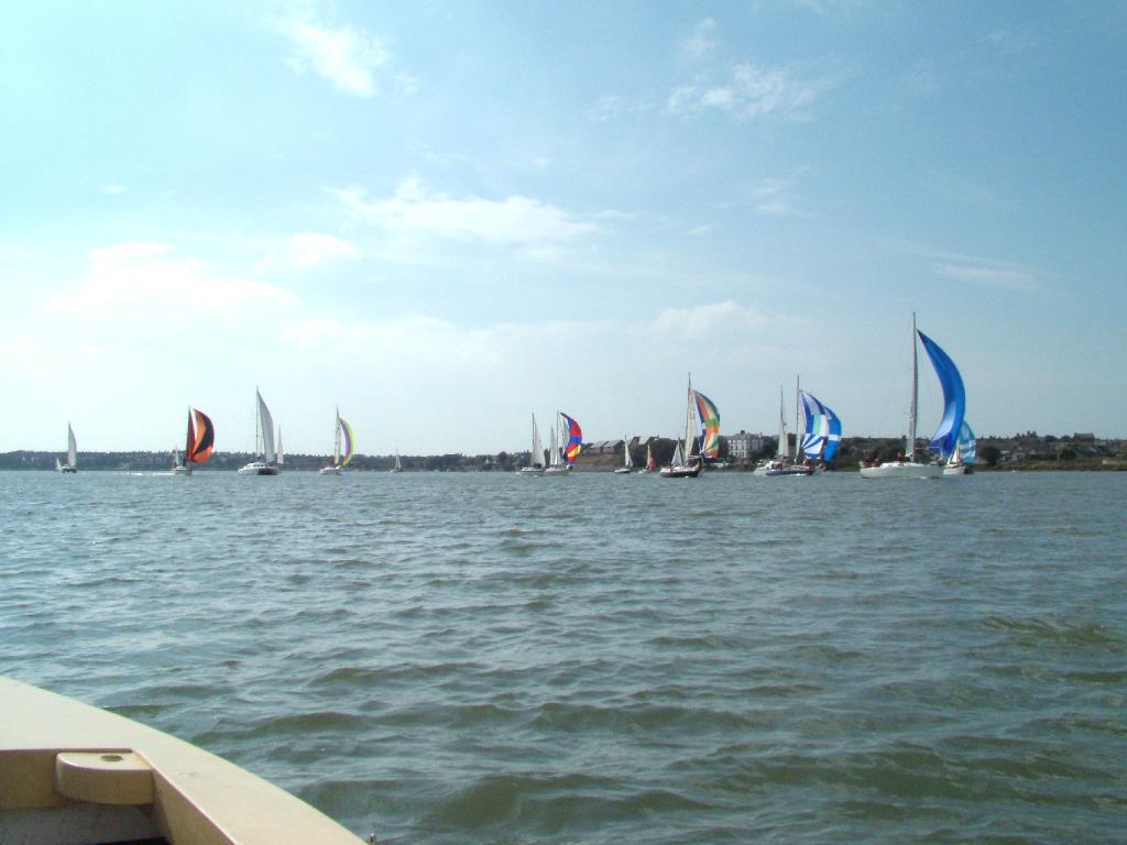 Click now to see this image full size.