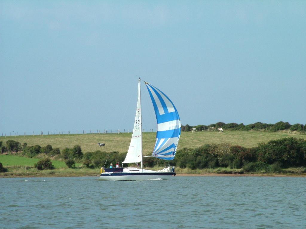 Click now to see this image full size.