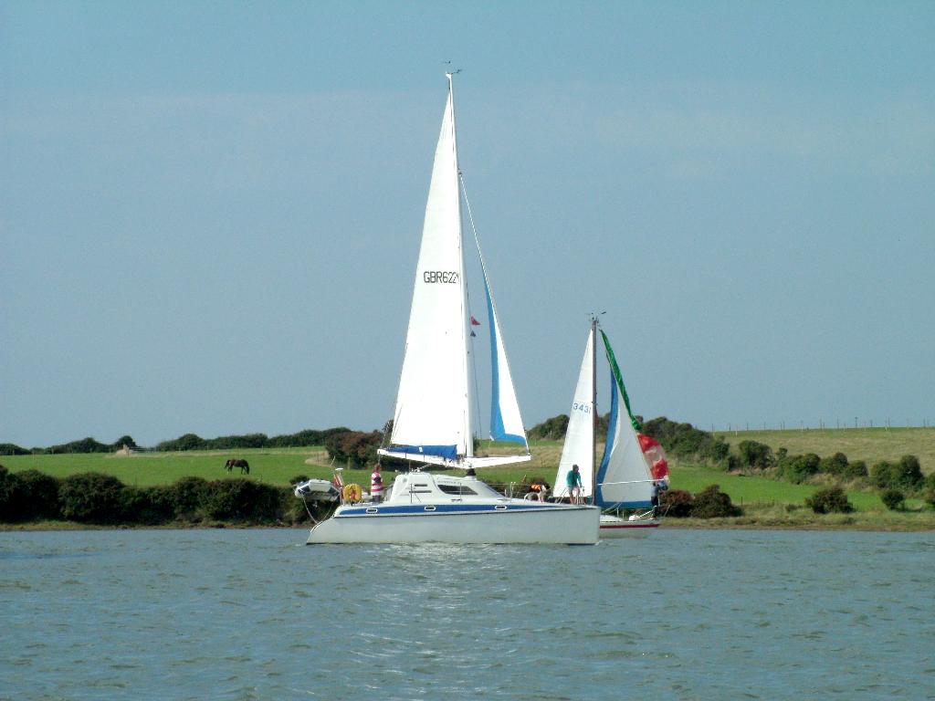 Click now to see this image full size.