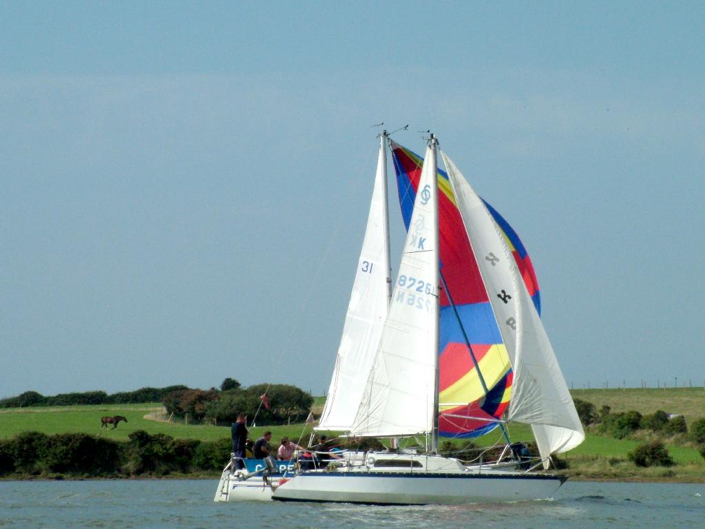 Click now to see this image full size.