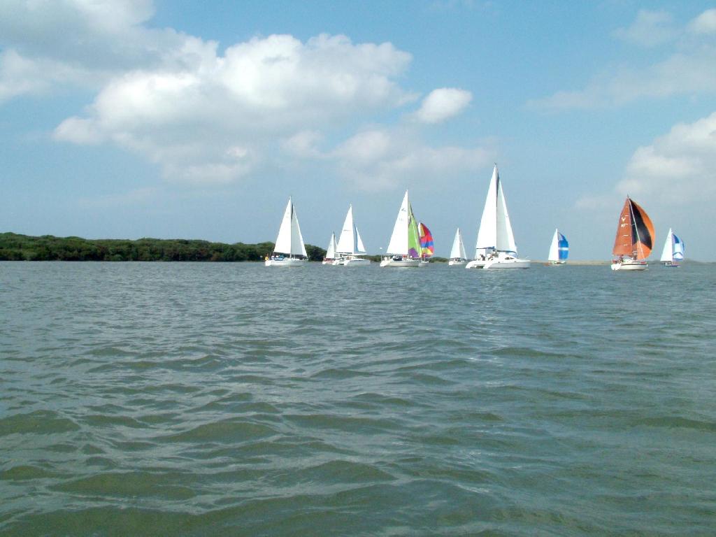 Click now to see this image full size.