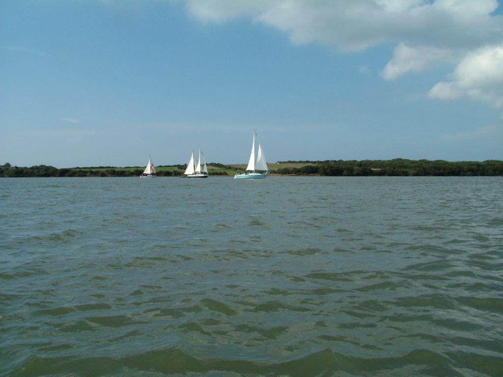 Click now to see this image full size.