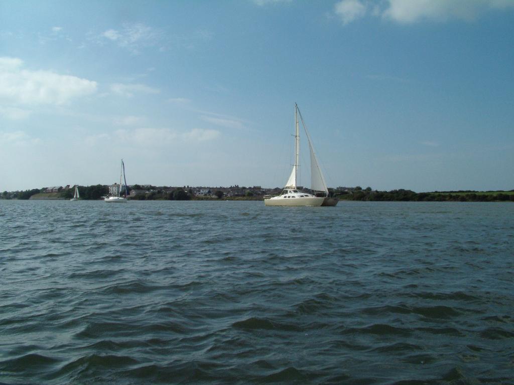 Click now to see this image full size.