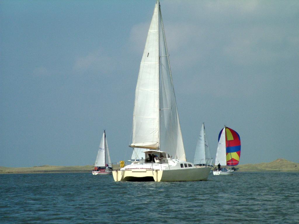 Click now to see this image full size.