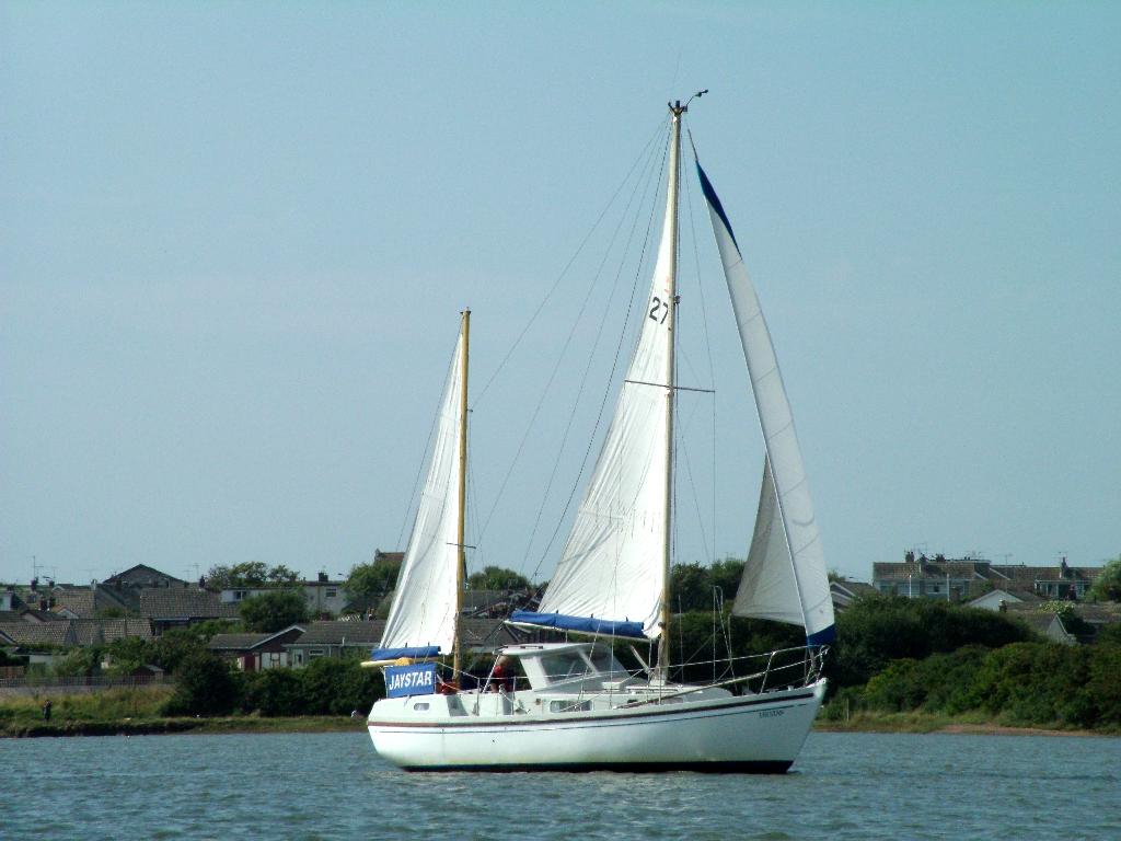 Click now to see this image full size.