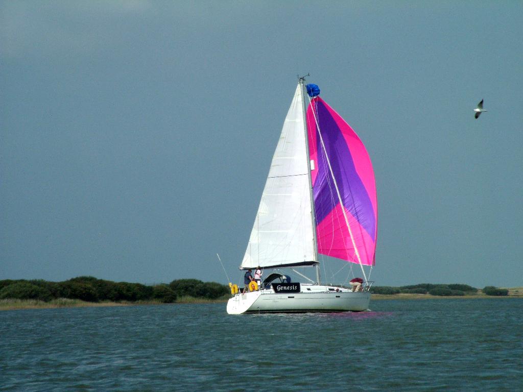 Click now to see this image full size.