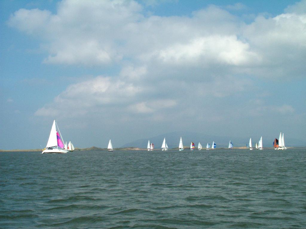 Click now to see this image full size.