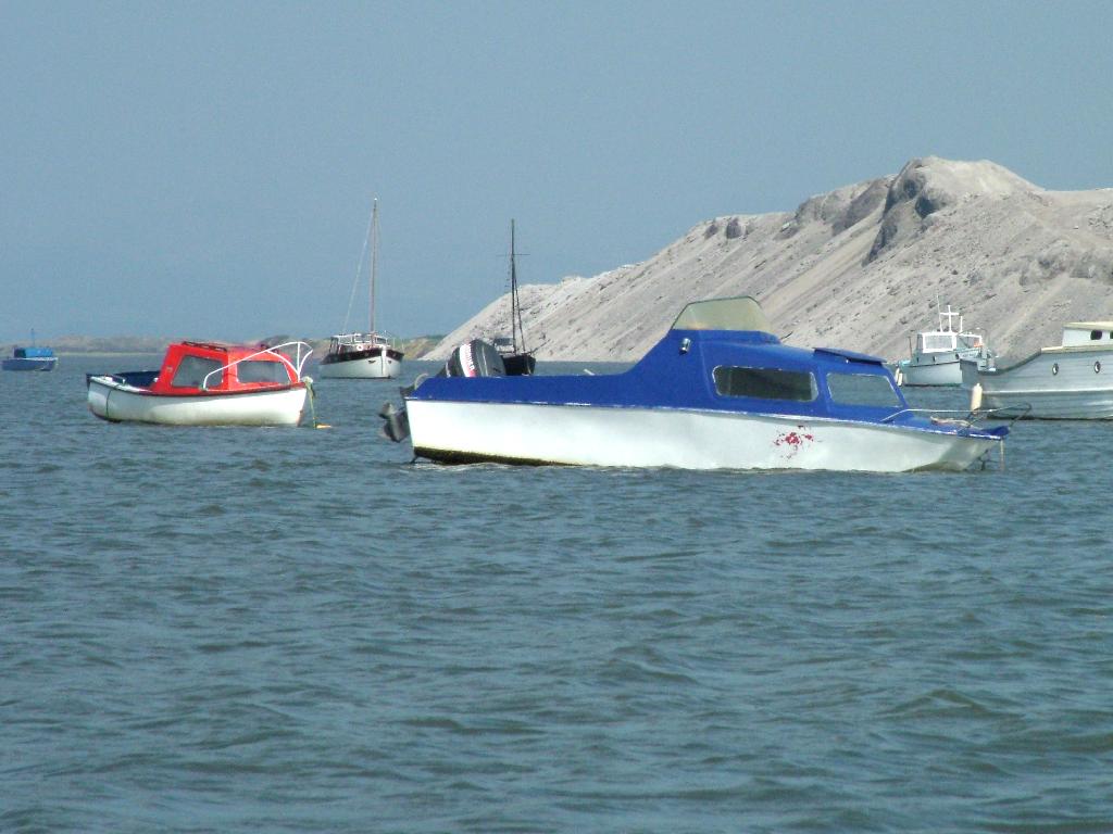 Click now to see this image full size.